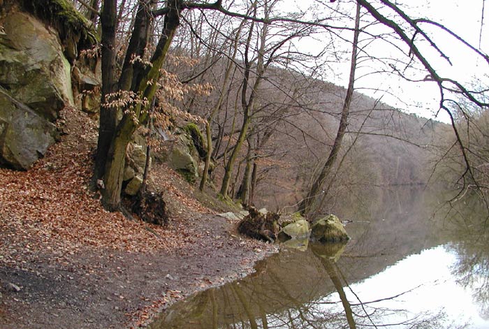 Předjaří na Svratce